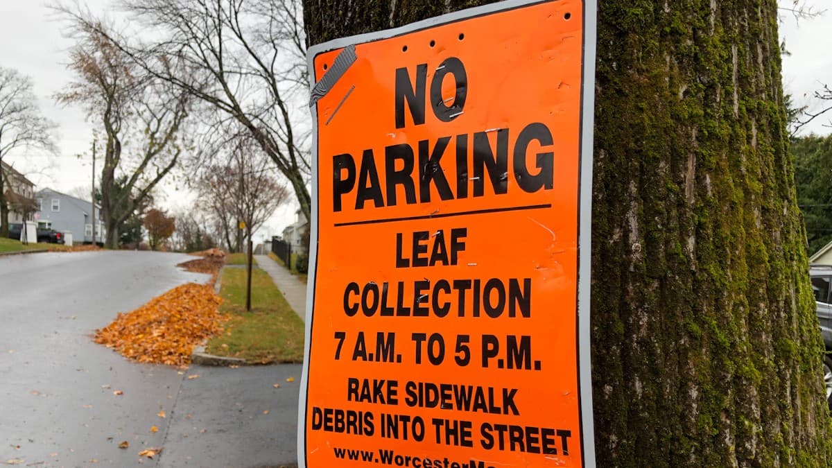 Worcester's Fall Leaf Collection Starts Monday, Nov. 7