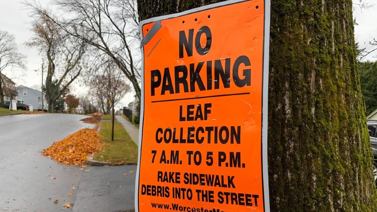 Worcester's Fall Leaf Collection Starts Monday, Nov. 7